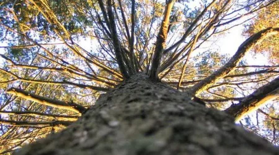 Feds Announce Big Conservation Program