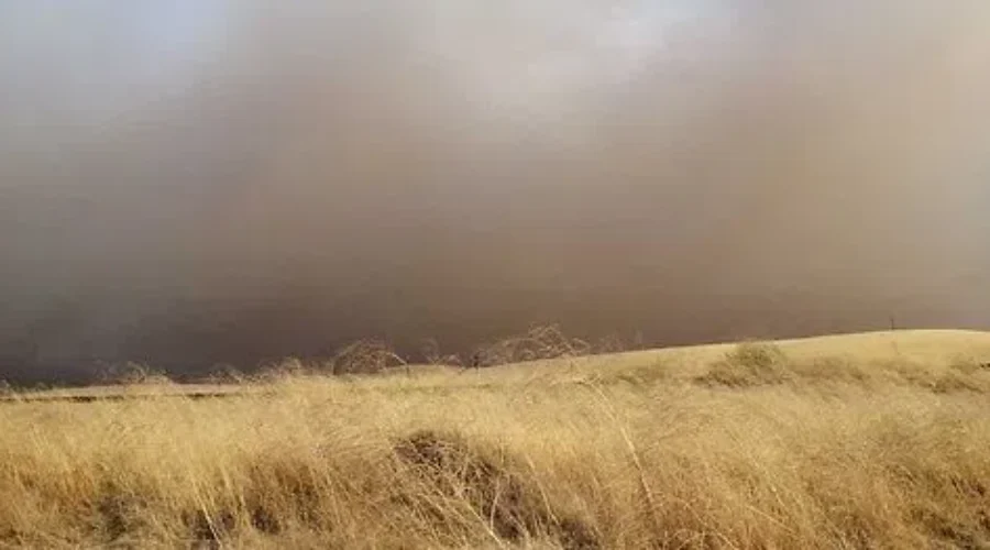 Grass Fire Season ‘Relatively Slow’