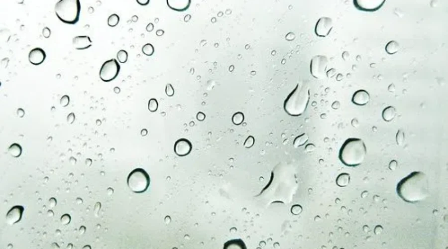 Severe Thunderstorm Watch