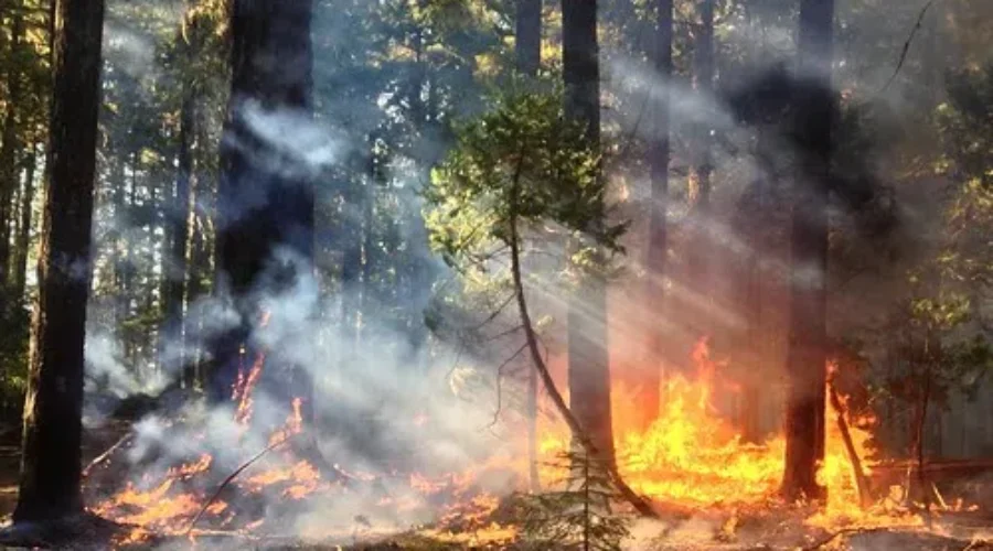 Ontario Helps With Alberta Fires