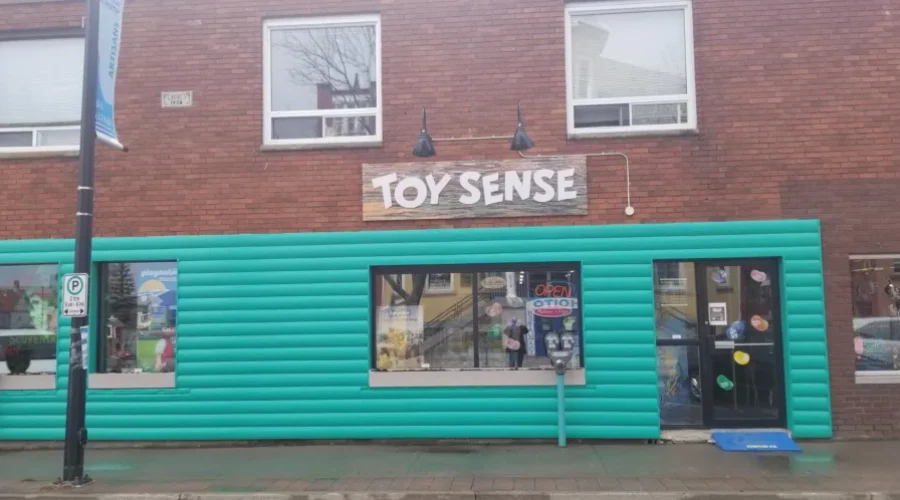 Toy Store Owner Monitoring Success