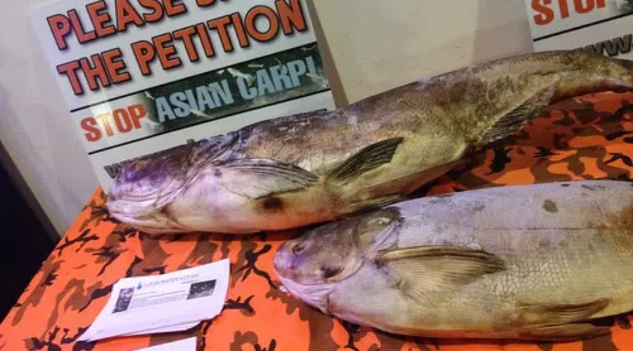 More Funding To Combat Invasive Species