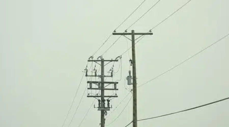 OPG Aiming To Expand Into US