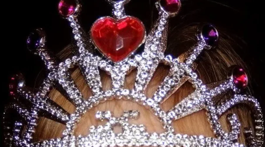$15K Goal For Princess Ball