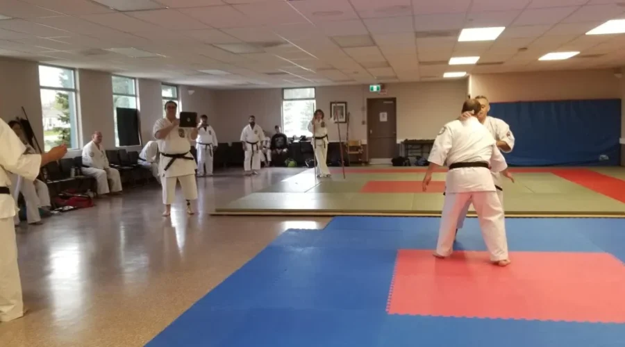 World Class Karate Instruction Locally