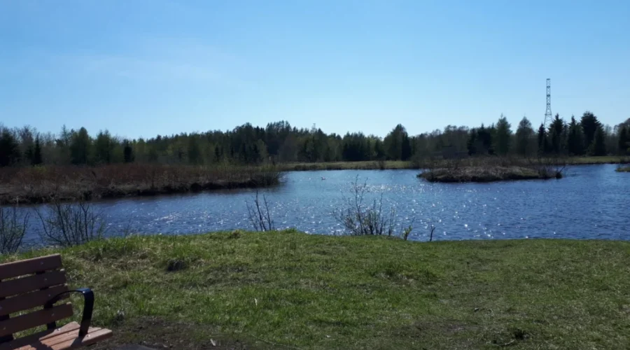 Environmental Bill Of Rights Proposed