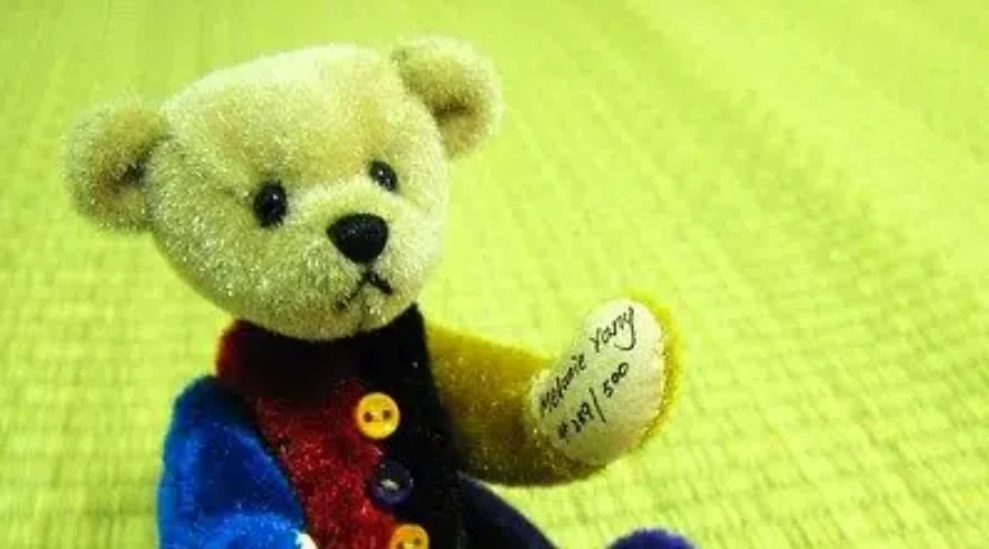 Teddy Bear Picnic Takes Over Vickers Park