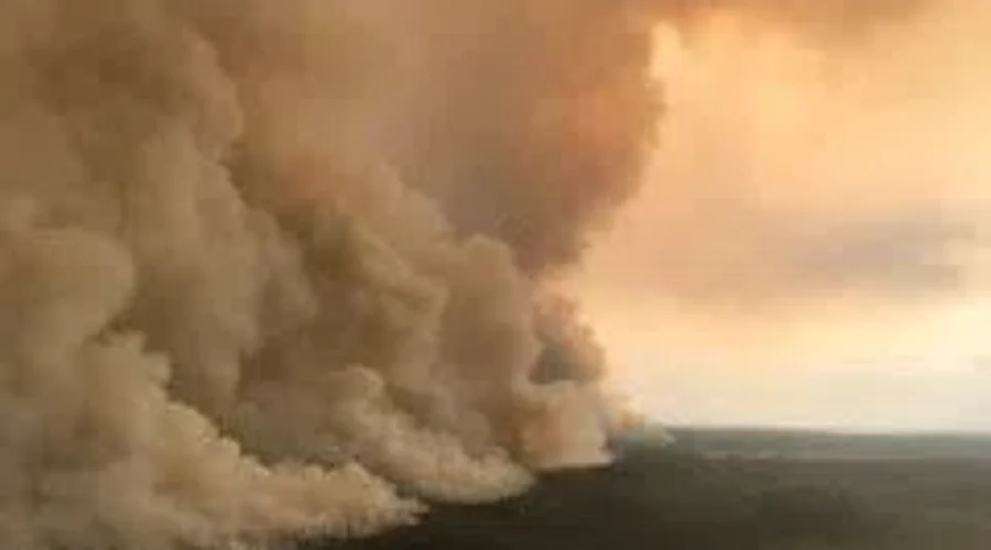 Thunder Bay Accepts Fire Evacuees