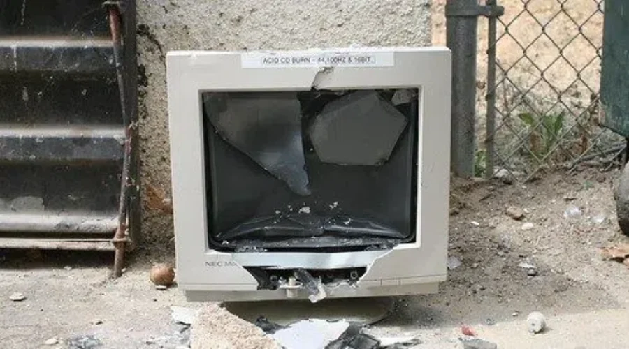 Group Collects E-Waste Weighing As Much As A T-Rex