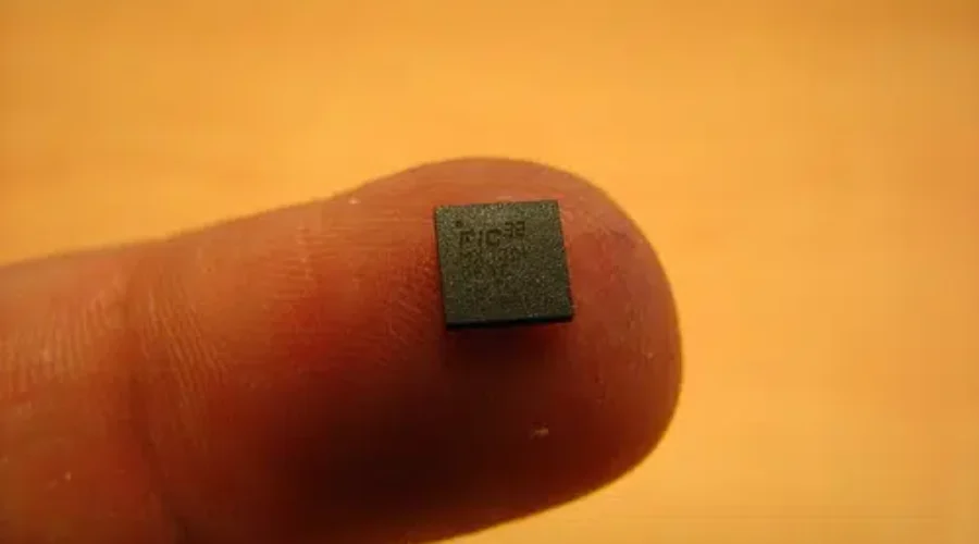 Pet Microchips Gain Popularity