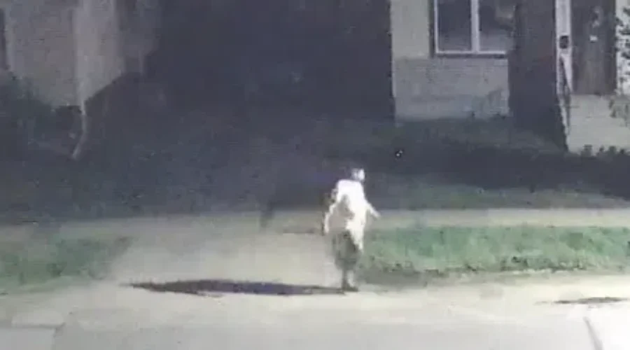 Police Hope Video Can Help Solve Assault