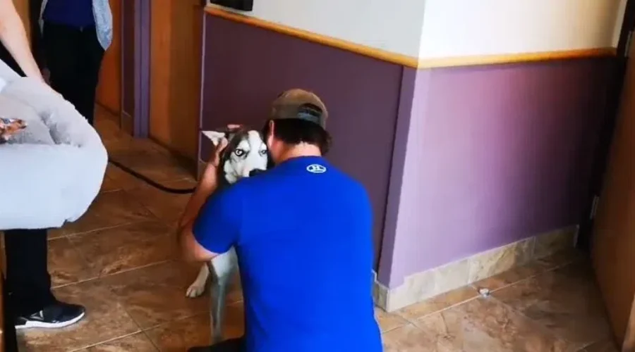 Owner & Dog Reunited After 4 Years Apart