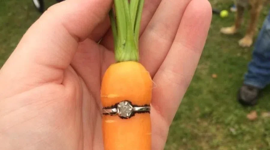 Harvesting a Unique Proposal