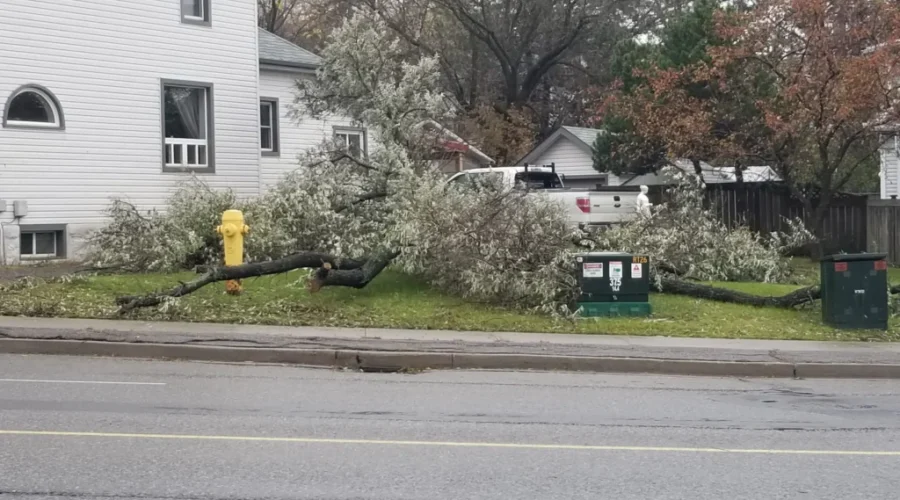 Remnants Of Rainstorm Remain