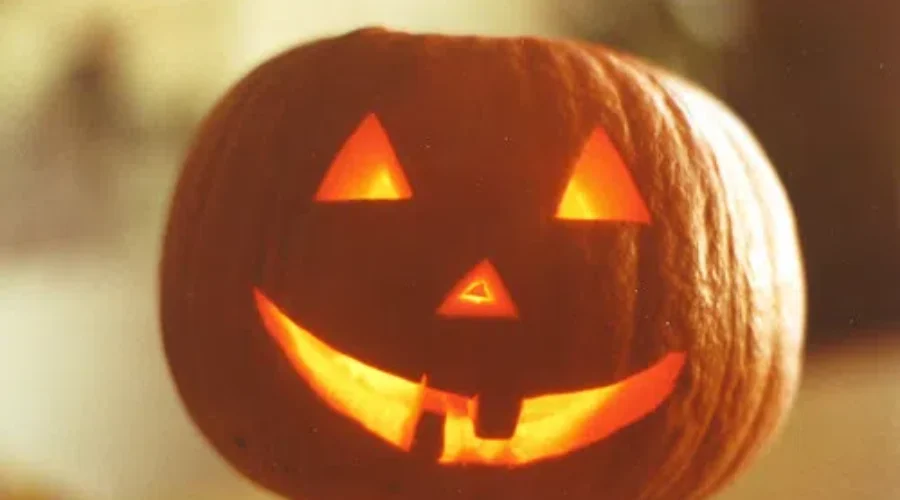 Moose vs. Jack-O’-Lantern