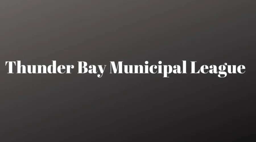 Guns & Gangs A Focus At Municipal Meeting