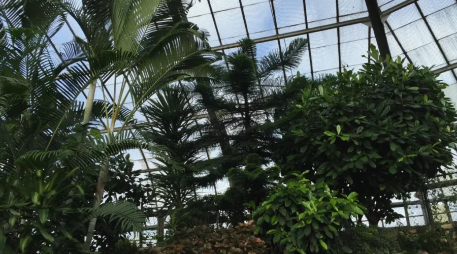 Conservatory, Paramount History Honoured