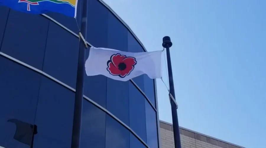 Poppy Campaign Kicks Off At City Hall