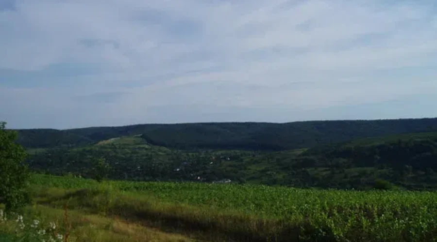 Ontario Challenges Investors For Land