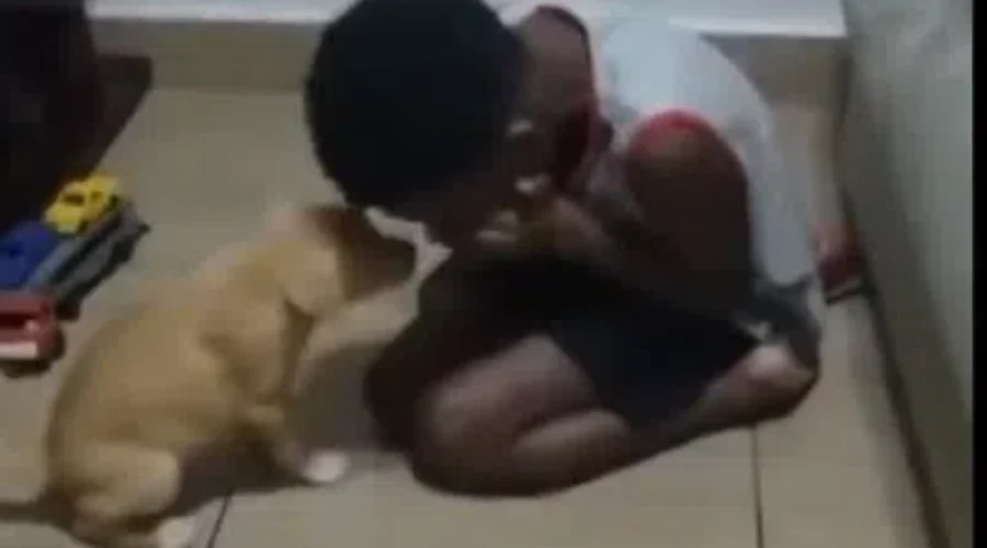 Video of a Boy Surprised with a Puppy
