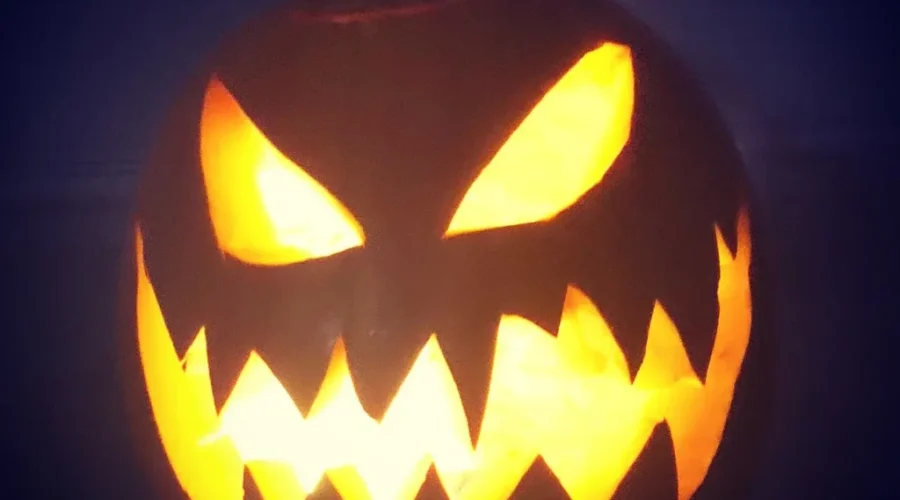 Where to Bring Your Pumpkins