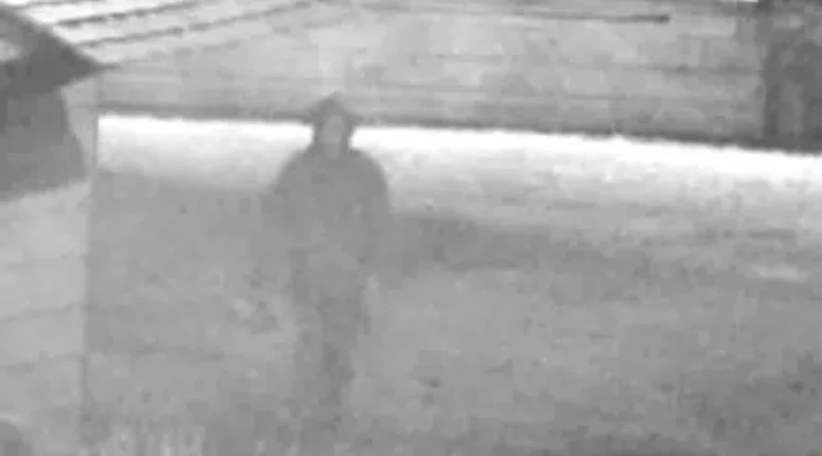 Video Of Arson Suspect Released