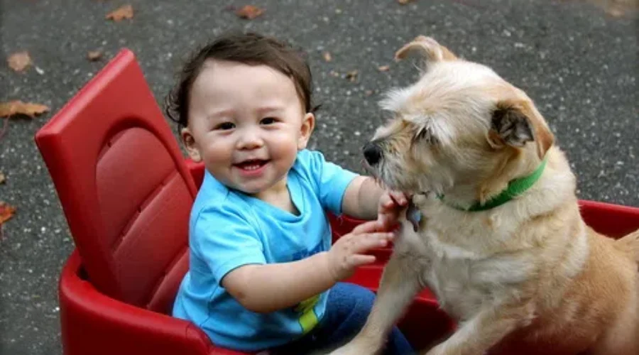 Most Popular Baby AND Dog Names!