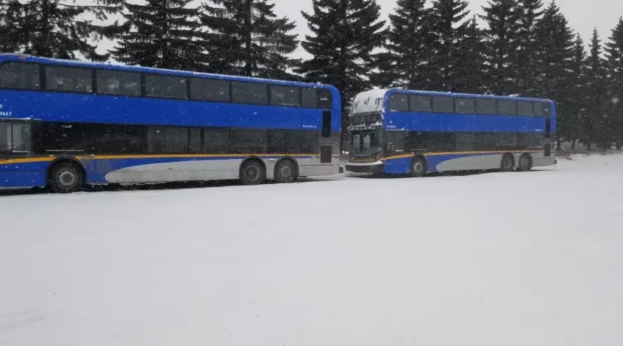 Buses Here For Heating Repairs
