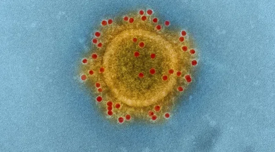 Two Coronavirus Cases Confirmed In Ontario