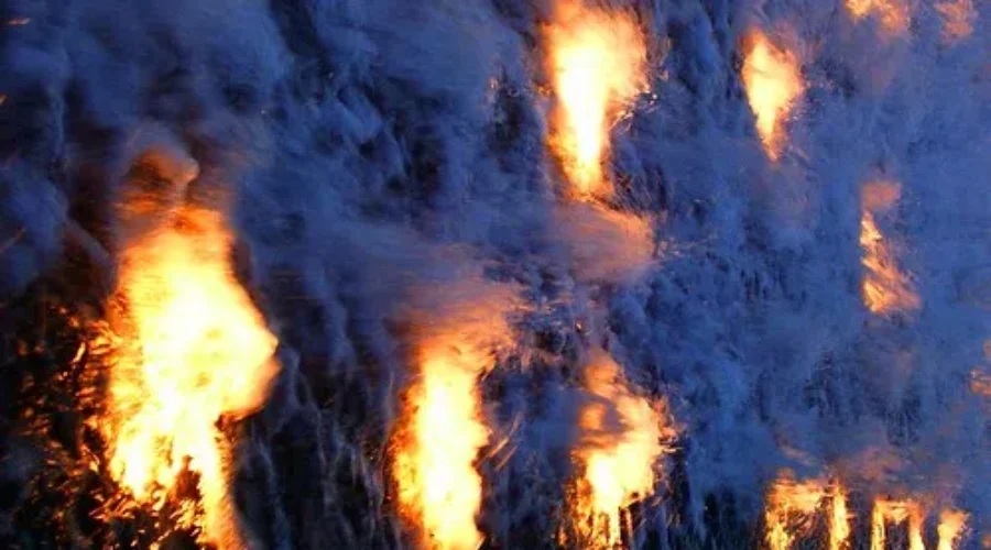 Virtual Run For Australia Fire Relief
