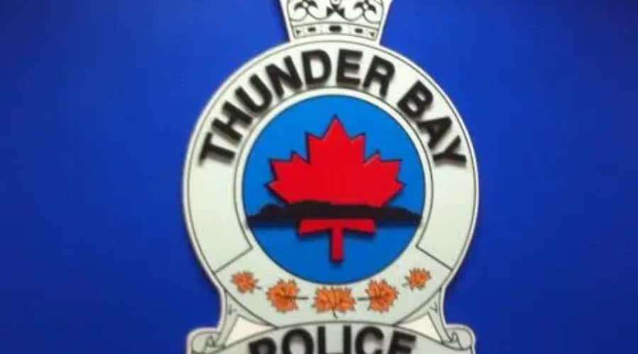 Charges Laid After Traffic Stop