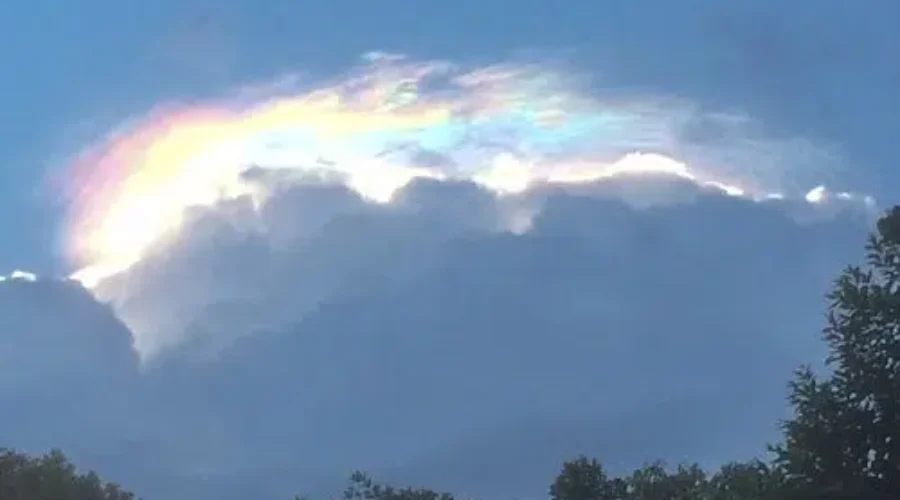 The Little Silver Linings