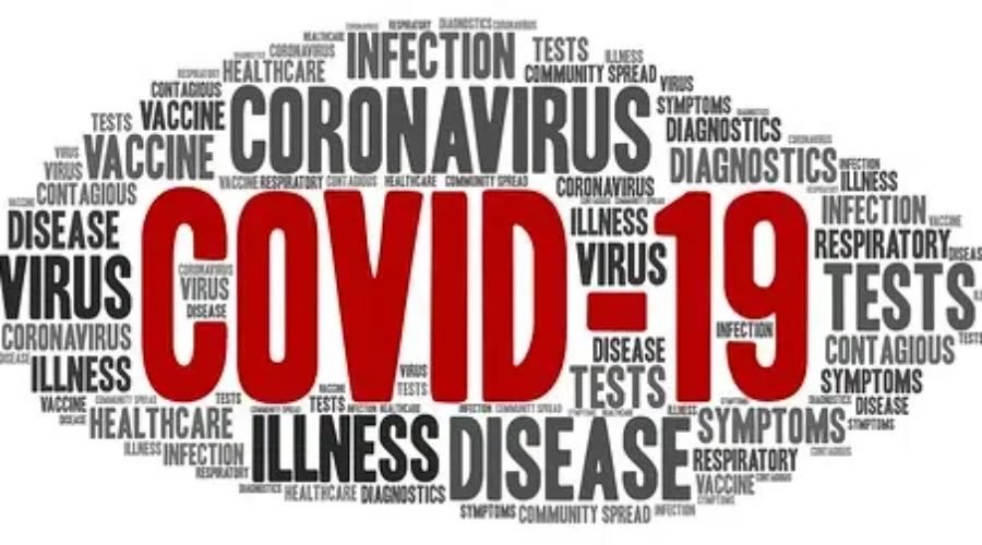 No COVID-19 Cases In Thunder Bay