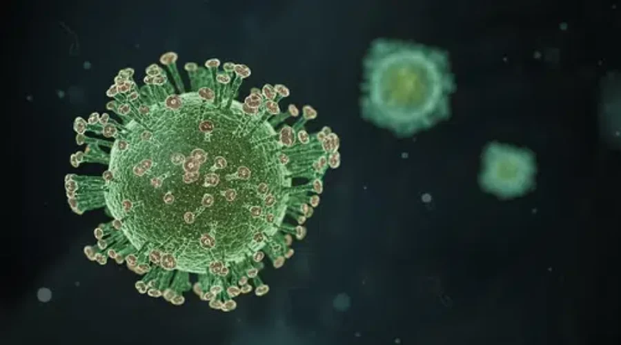 Ontario To Roll Out Rapid COVID-19 Test