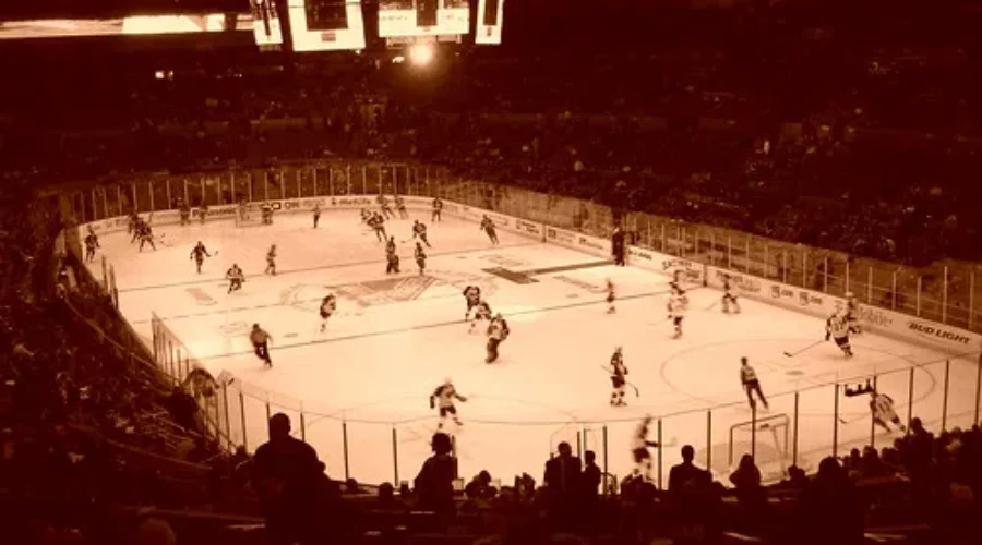 NHL Season Suspended