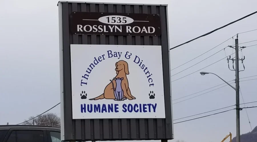 Humane Society Asks For Donations