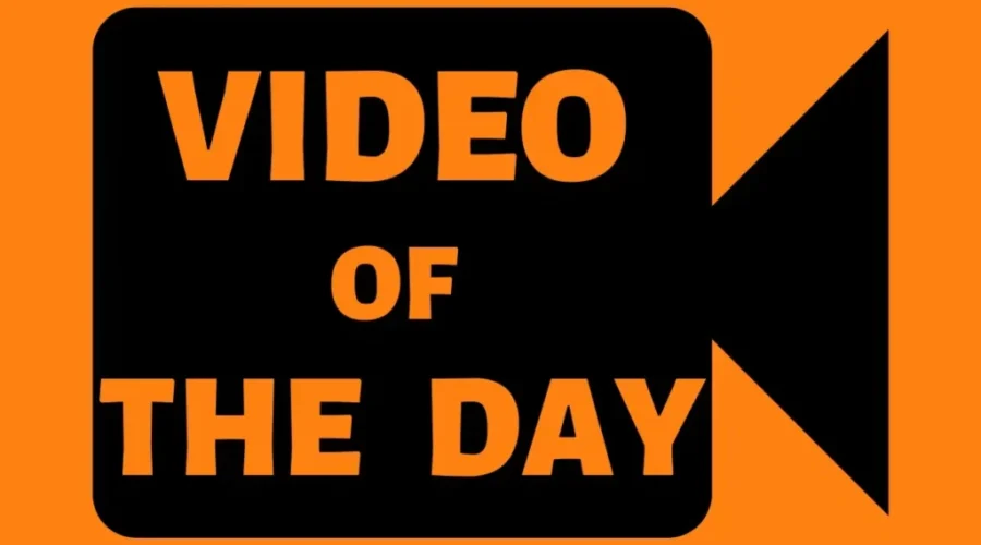 WATCH: Video of the Day