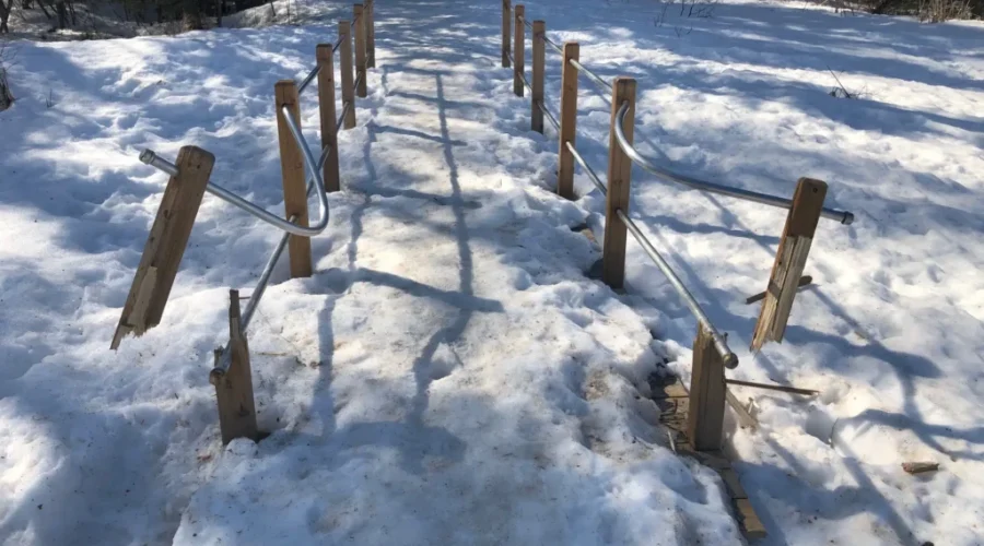 LRCA’s Mills Block Forest Trail Damaged