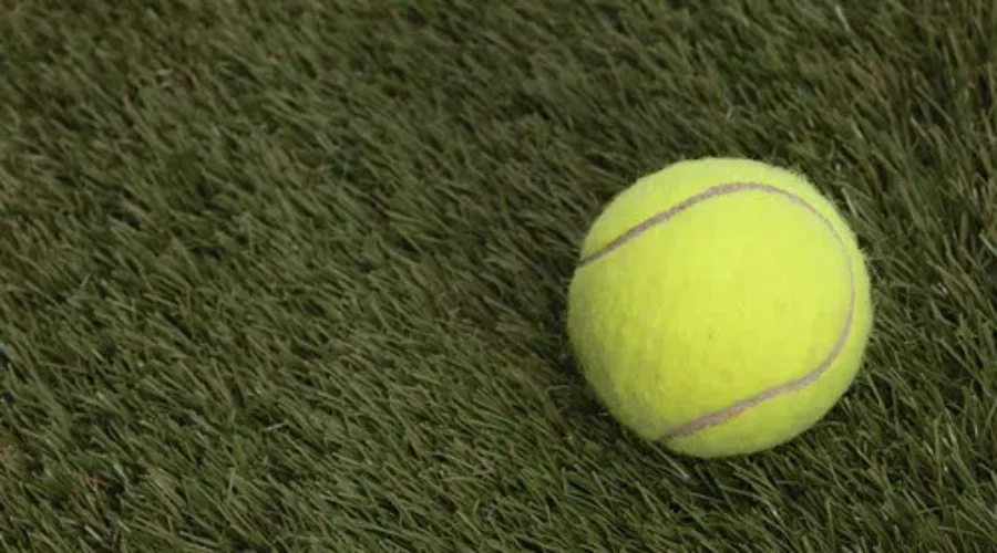 Wimbledon Cancelled