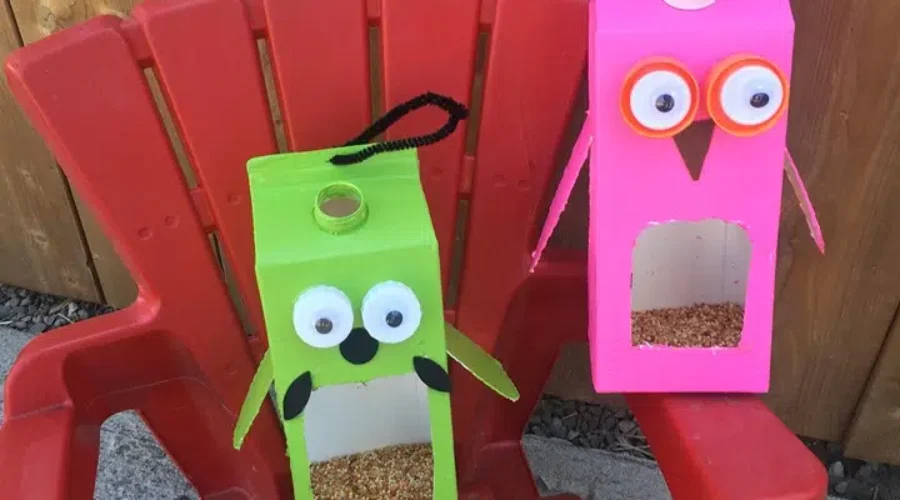 DIY Bird Feeder