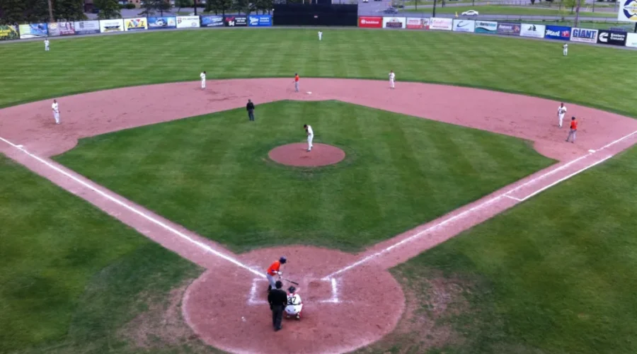 Border Cats Hire Field Manager