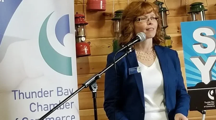 Thunder Bay Businesses Hang By A Thread