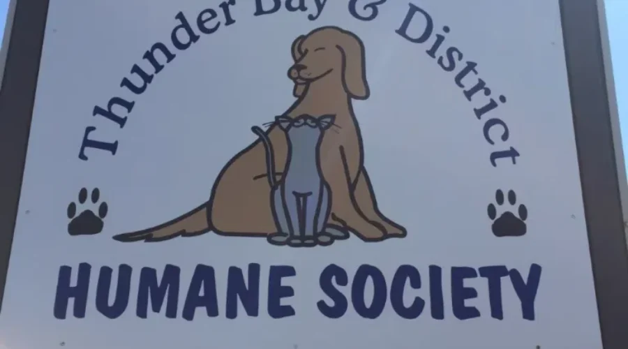 Humane Society Launches Food Program