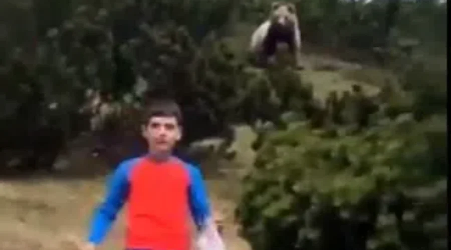 Watch: Crazy Bear Encounter!!!