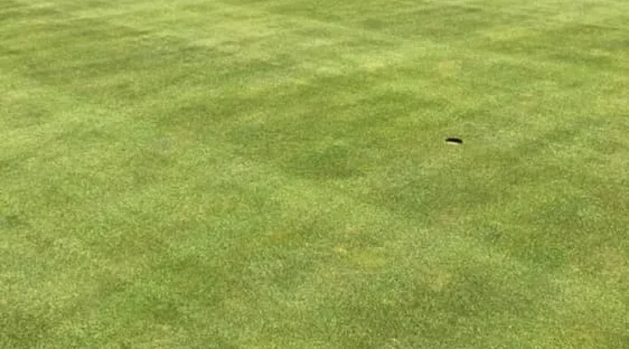 Anticipation Of Golf Season Is In The Air
