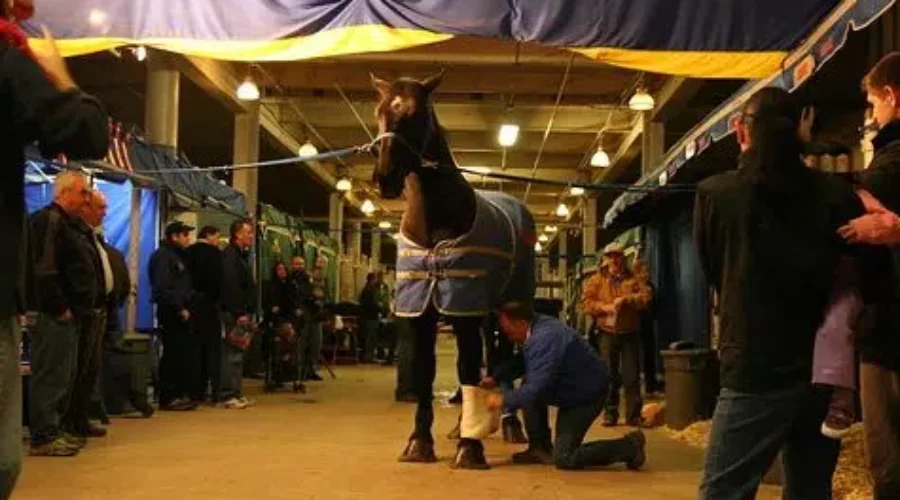 Agricultural Fair Cancelled