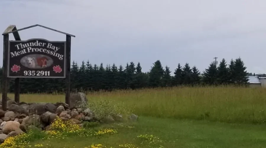 No Buyer Yet For Meat Processing Plant