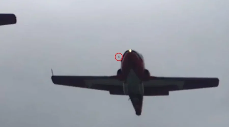 Bird May Have Caused Fatal Snowbirds Crash