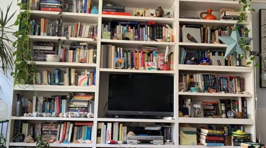 Find the Cat!