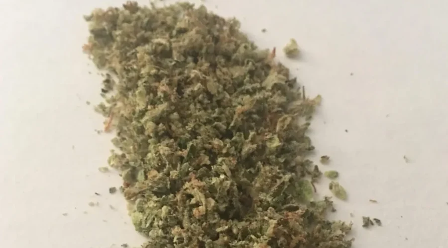 Cannabis Review At Council Tonight